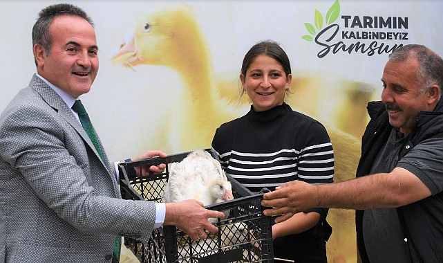30 kadın üreticiye bin 500 kaz palazı