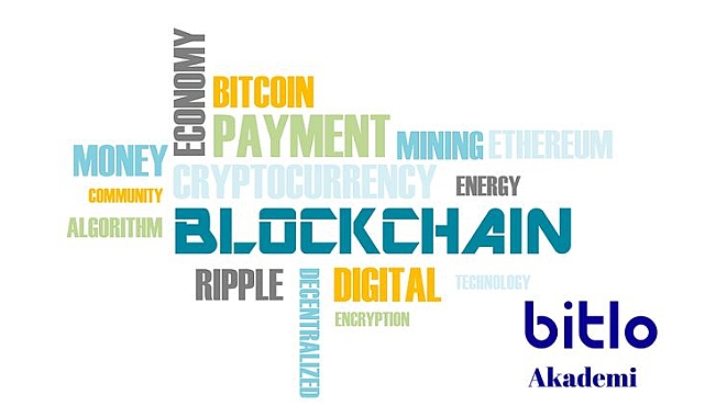 Kripto Para Dünyasında Kapitalizm, Algoritma ve Kapitülasyon Kavramları