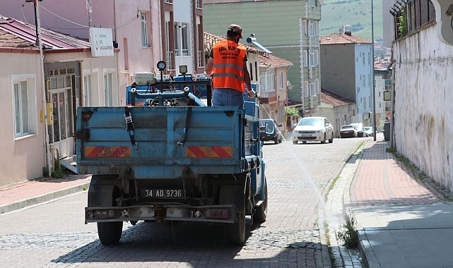 Havza Belediyesi yabani ot ile mücadeleye başlattı