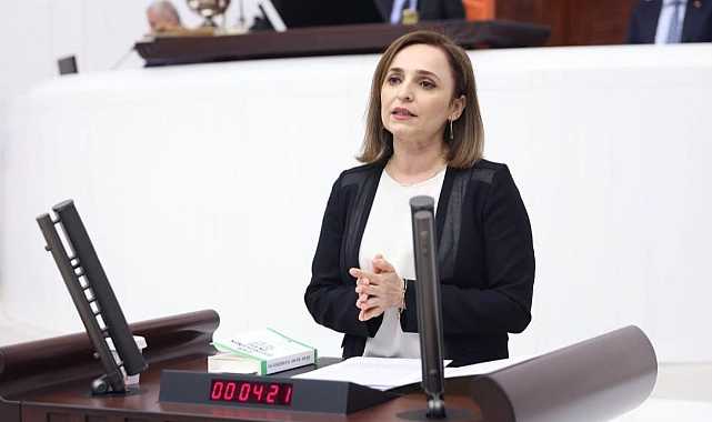 Ayşegül Doğan, Dicle Naz'ın ölümüyle ilgili önerge verdi