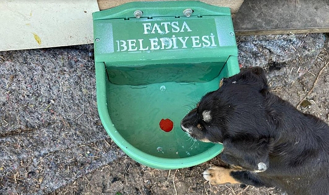 CAN DOSTLARIMIZA HEP BİRLİKTE SAHİP ÇIKALIM