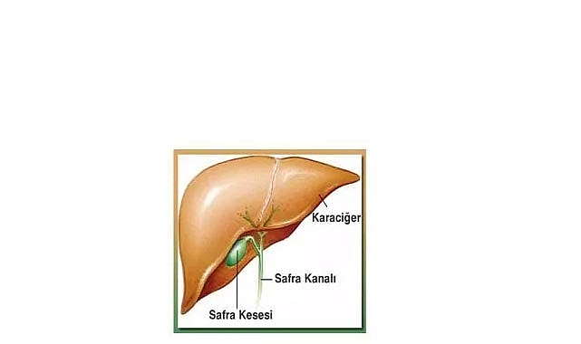 Safra Kesesi Ameliyatı