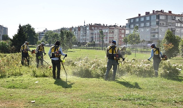 DAHA YEŞİL BİR SAMSUN İÇİN ÇALIŞIYORUZ