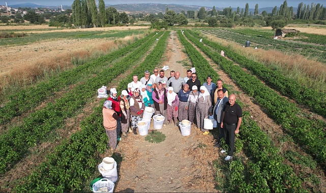 Manisa Belediyesi, Tarım İşçilerine Koruyucu Ekipman Sağlıyor
