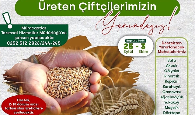 Hibeli Buğday Ve Tritikale Tohumu Desteği Başlıyor