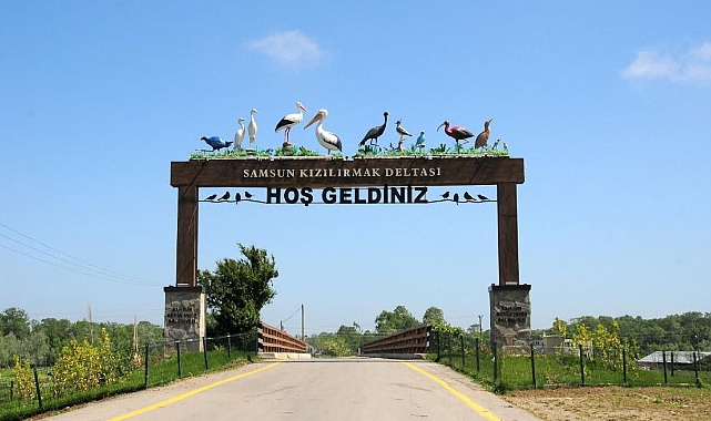 Kızılırmak Deltası Kuş Cennetine Ziyaretçi Akını