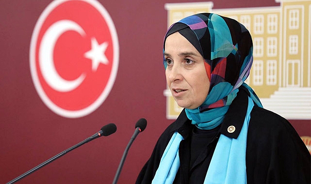 Elif Esen; Popülist, eksik ve açıkları olan bir girişim