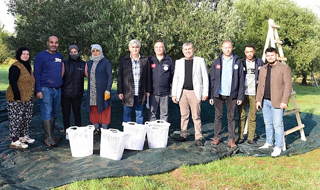 Turgutlu’da Zeytin Emekçilerine Büyükşehir’den Koruyucu Malzeme