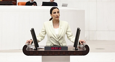 Evrim Rızvanoğlu, Çevre ve İklim Değişikliği Yok Sayılıyor