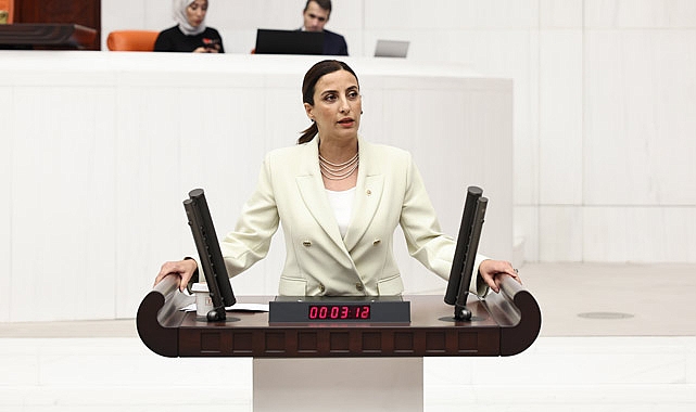 Evrim Rızvanoğlu, Çevre ve İklim Değişikliği Yok Sayılıyor