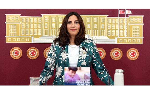 Rızvanoğlu, Aliağa'daki Tehlikeli Gemi Sökümleriyle İlgili Soru Önergesi Verdi
