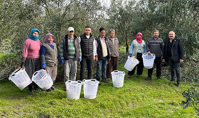 Manisa'da Zeytin Budamasına Destek