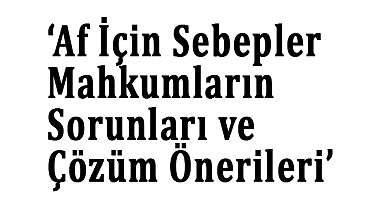 Af İçin Sebepler, Mahkumların Sorunları ve Çözüm Önerileri