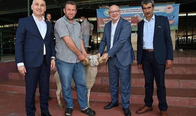 Manisa Büyükşehir Belediyesi'nden Üreticilere 250 Damızlık Koç Desteği