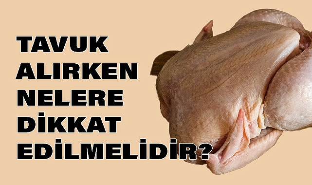Tavuk alırken nelere dikkat edilmeli?