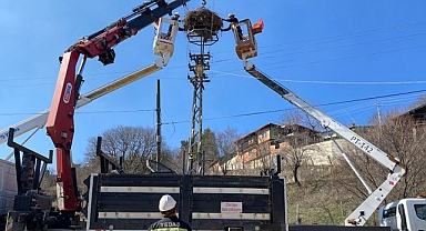 Elektrik Dağıtım Şirketi YEDAŞ, "Leylek Evleri" ile Çevreye Katkıda Bulunuyor