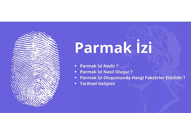 Parmak İzi Hakkında Herşey | Nasıl Oluşur ? | Parmak İzi Teknolojisinin Tarihsel Gelişimi