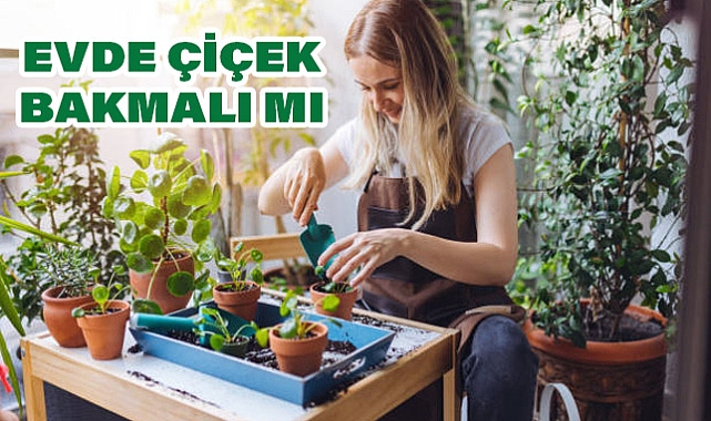 Evde Çiçek Bakmalı mı?