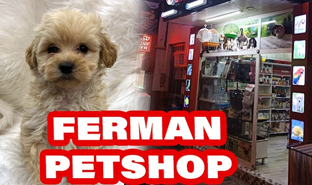 Ferman Petshop; Çarşamba'da Evcil Hayvan Sahiplerinin Adresi