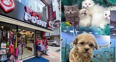 Pet Point: Evcil Hayvanlarınız İçin Her Şey Bir Arada