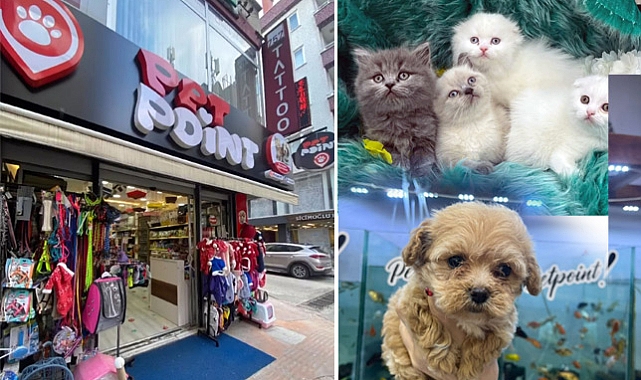 Pet Point: Evcil Hayvanlarınız İçin Her Şey Bir Arada