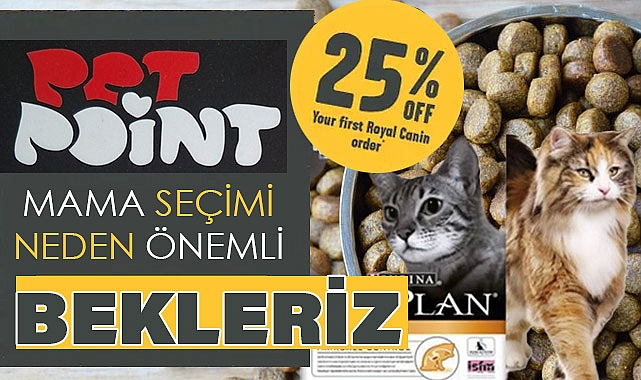 Pet Point Rehberi