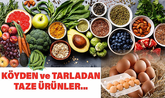 Samsun'da Baloğlu Bal Ürünleri ile Doğal Lezzetler Sofranızda