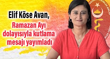 Samsun-Sinop Veteriner Hekimler Odası Başkanı Elif Köse Avan Ramazan Bayramı Mesajı Yayımladı