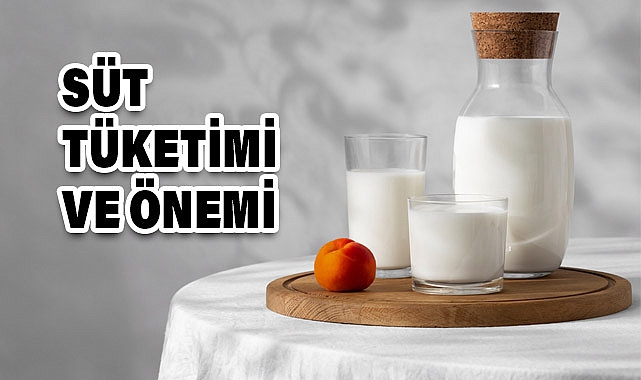 1 Haziran Dünya Süt Günü: Süt ve Süt Ürünlerinin Önemi