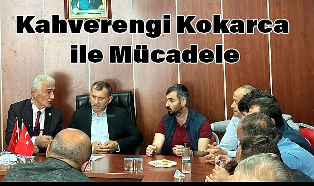 Ayvacık’ta Kahverengi Kokarca ile Mücadele İstişare Toplantısı Düzenlendi
