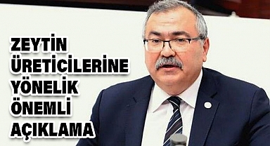 CHP'li Bülbül: Zeytin Üreticileri Depolama Maliyetleri ve İhracat Kısıtlamalarıyla Zor Durumda