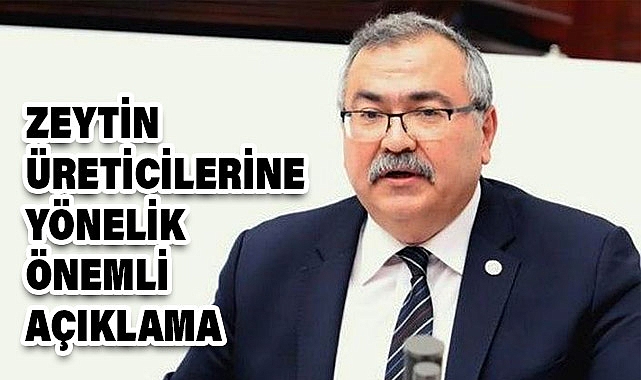 CHP'li Bülbül: Zeytin Üreticileri Depolama Maliyetleri ve İhracat Kısıtlamalarıyla Zor Durumda