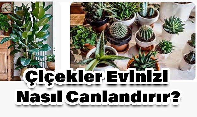 Çiçeklerle Yaşam Alanınızı Nasıl Renklendirebilirsiniz?