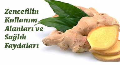 Mucizevi Bitki Zencefil: Şifa Kaynağı