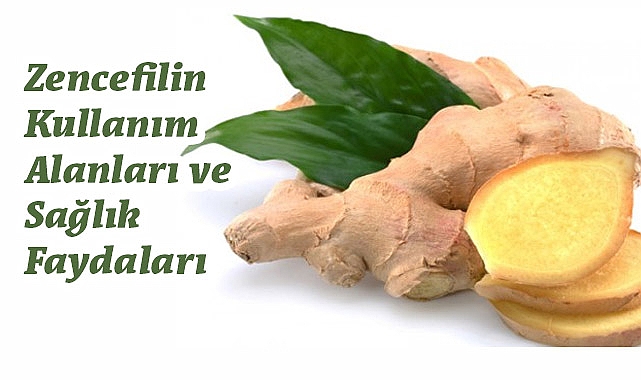 Mucizevi Bitki Zencefil: Şifa Kaynağı