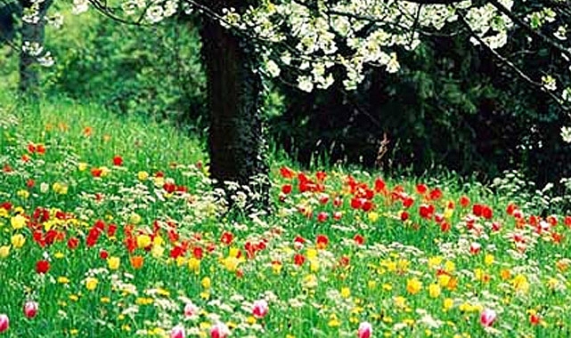 Nevruz Bahar Bayramının En Keyifli Ritüelleri