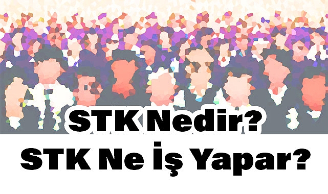 STK Nedir? STK Ne İş Yapar? Sivil Toplum Kuruluşları Nelerdir?