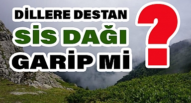 Yazar M. Halistin Kukul'dan 'Sis Dağı' Hakkında Anlamlı Bir Yazı