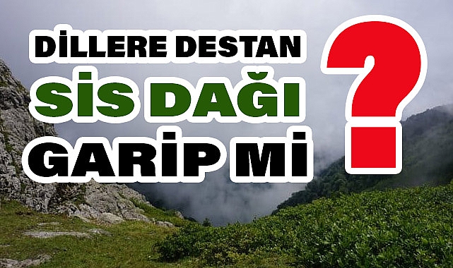 Yazar M. Halistin Kukul'dan 'Sis Dağı' Hakkında Anlamlı Bir Yazı