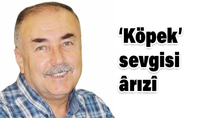 Arslan Tekin'in Yeni Yazısı "Köpek" Sevgisi Ârızî