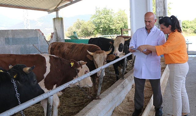 Atakum Belediyesi Kurban Satış ve Kesim Yeri Bayrama Hazır