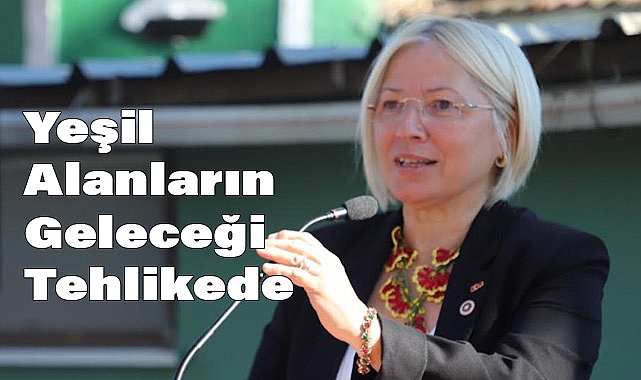CHP'li Nurten Yontar'dan Türk Silahlı Kuvvetleri Kanunu'na Eleştiri