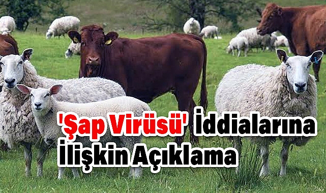 İzmir Valiliği'nden 'Şap Virüsü' İddialarına İlişkin Açıklama