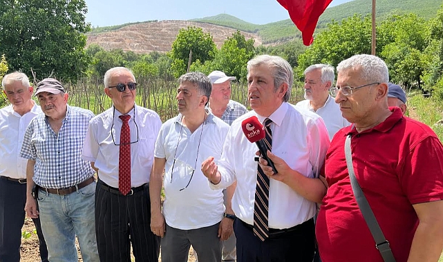 Kavak Köseli’deki Doğa Katliamına Tepki Büyüyor