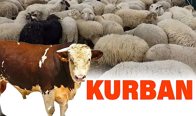Kimler Kurban Kesmekle Yükümlüdür?