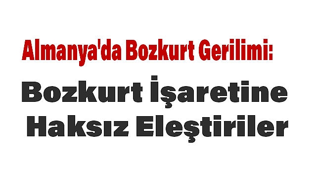 Almanya'da Bozkurt Gerilimi: Bozkurt İşaretine Haksız Eleştiriler