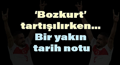 Arslan Tekin'den 'Bozkurt' Tartışmaları Üzerine Değerlendirme