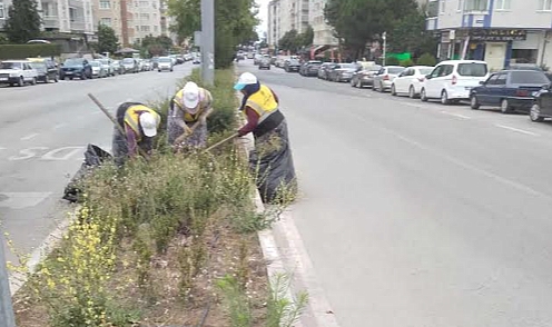 Atakum'da Park ve Çiçeklere Kadın Eli Değdi