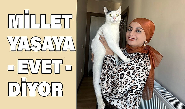 Bedriye Arık Çambel'in Makalesi: Hayvan Sevgisinin Önemi ve Yasalar Üzerine