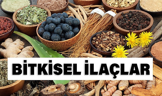 Bitkisel İlaçlar ve Takviyeler: Kullanım, Güvenlik ve Dikkat Edilmesi Gerekenler